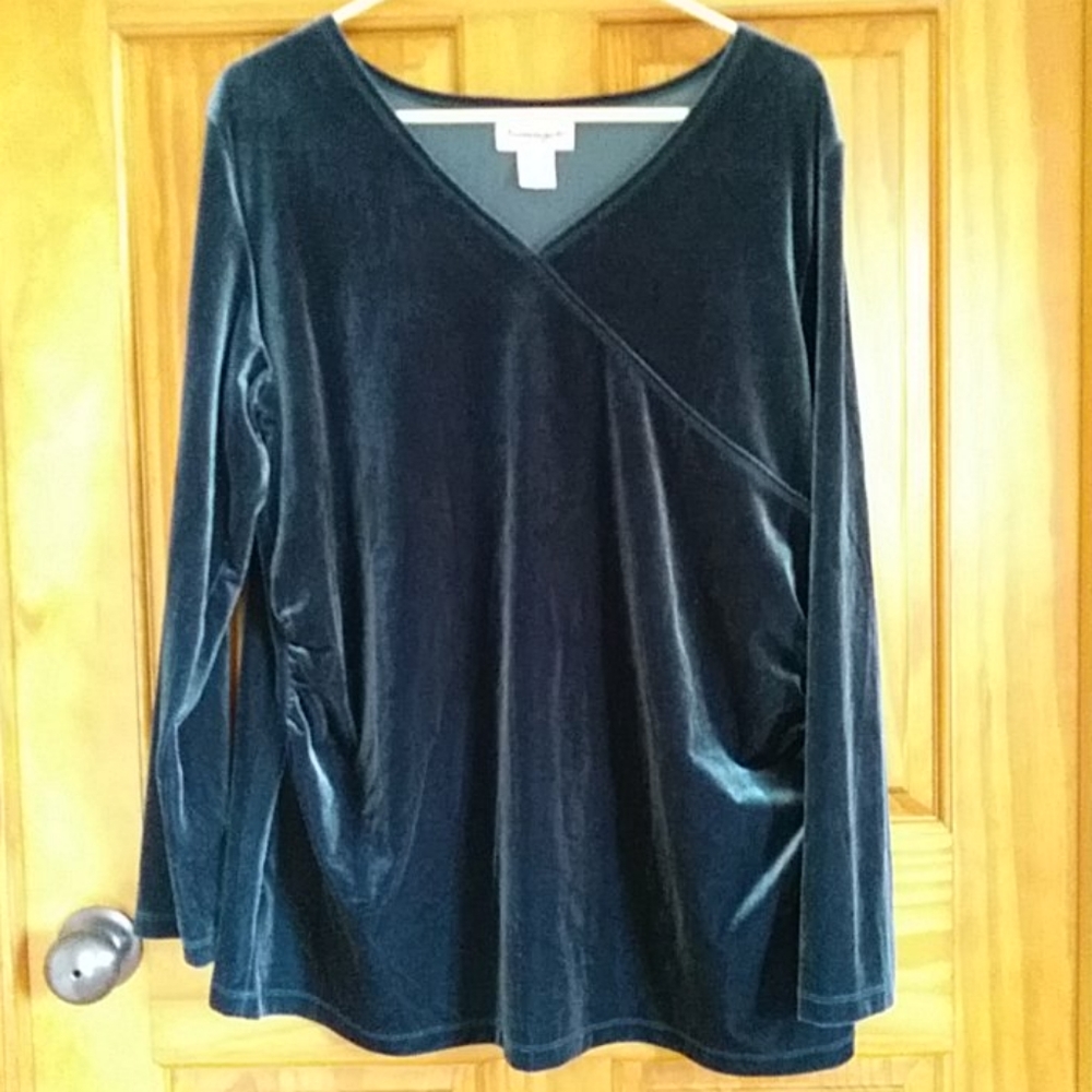 Serengeti V Neck Velvet Ruched Top Plus Size 1X